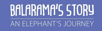 Balaramas Story - An Elephants Journey Children's book age 7-12